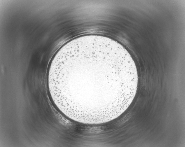 X0000059851338200510241453