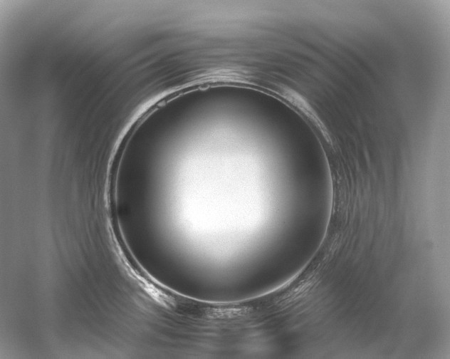 X0000059851339200510241454