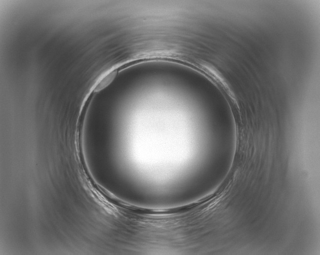 X0000059851340200510241454
