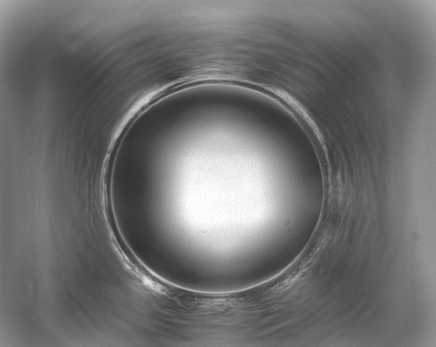 X0000059851341200510241454