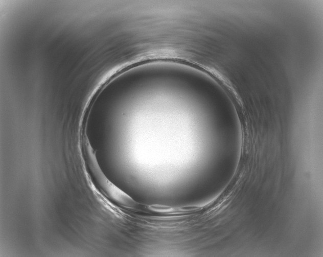 X0000059851342200510241454