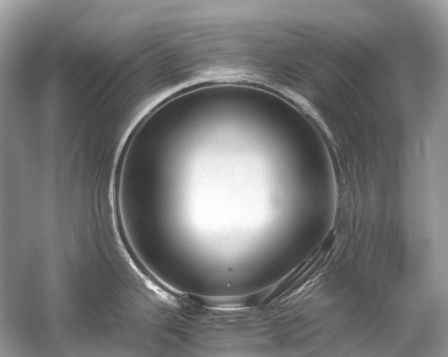 X0000059851343200510241454