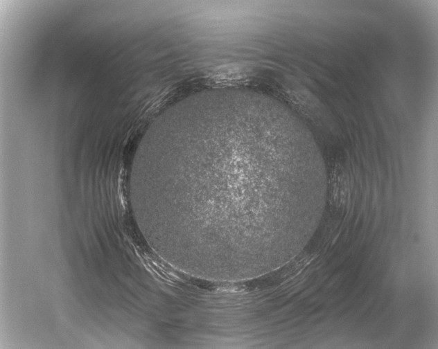 X0000059851346200510241453