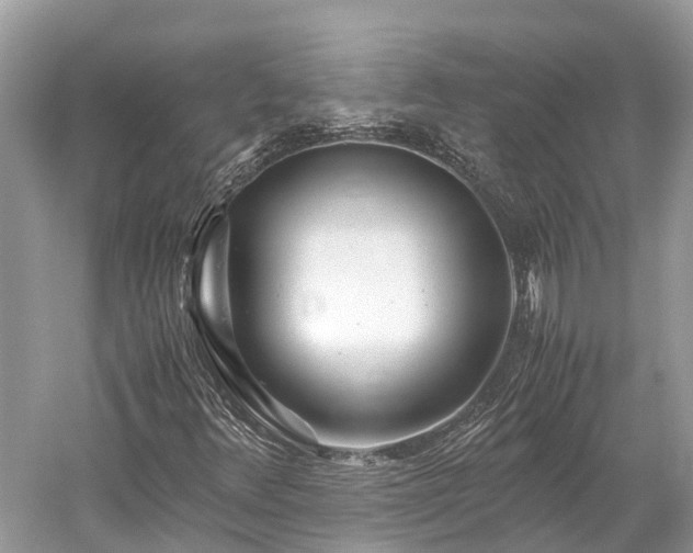 X0000059851348200510241453