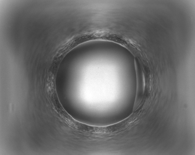 X0000059851349200510241453