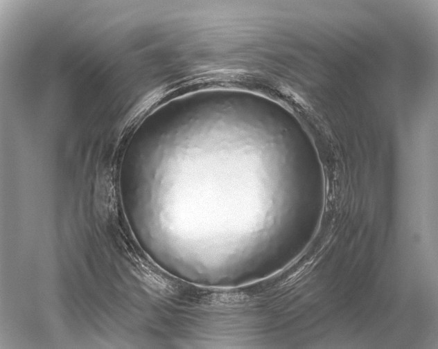X0000059851354200510241453