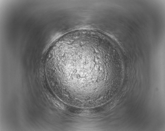X0000059851359200510241453