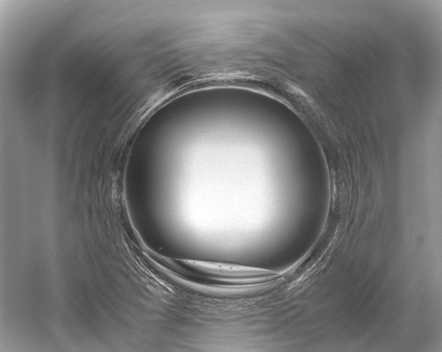 X0000059851361200510241453