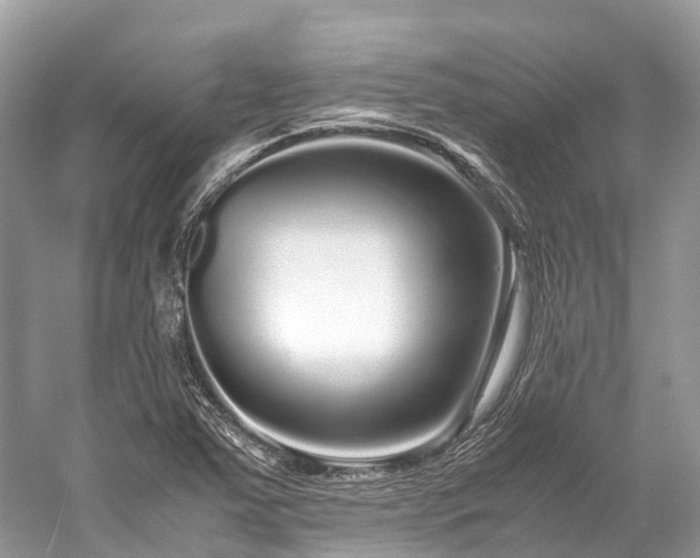 X0000059851363200510241452