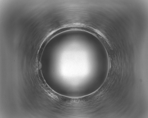 X0000059851364200510241452