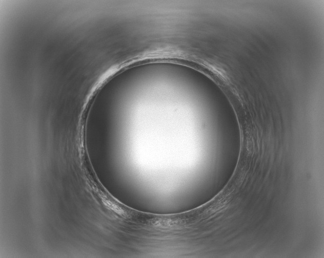 X0000059851366200510241452