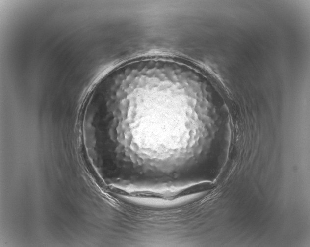 X0000059851367200510241452