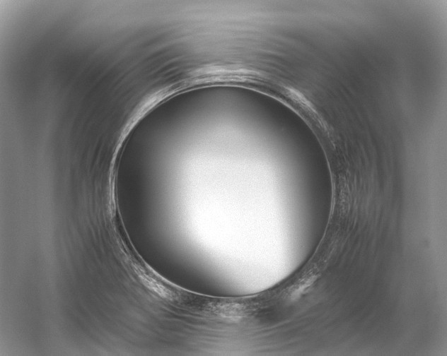 X0000059851370200510241452
