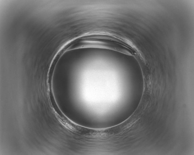 X0000059851372200510241452