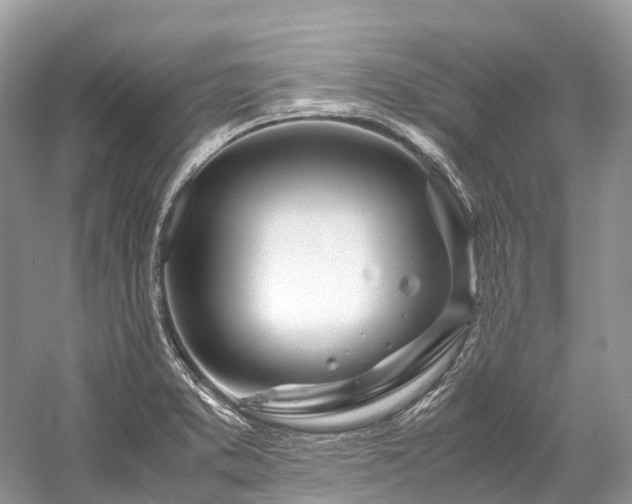 X0000059851373200510241452