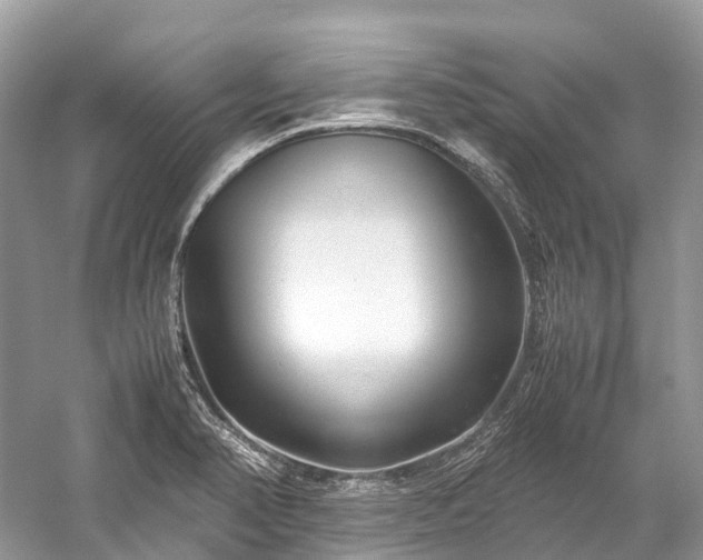 X0000059851374200510241452