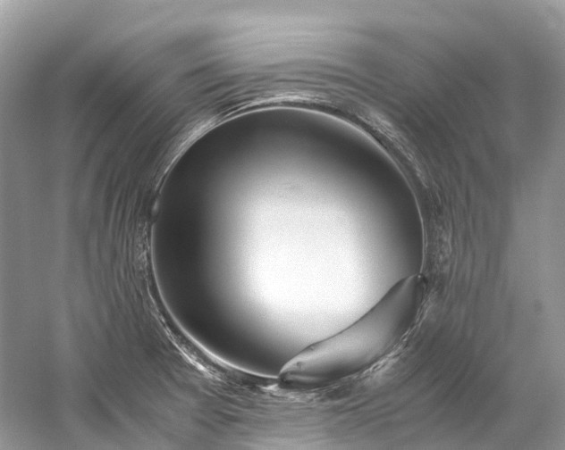 X0000059851377200510241452