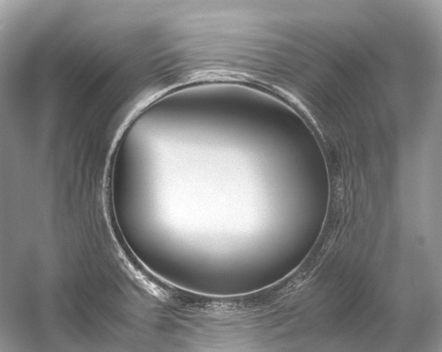 X0000059851379200510241452