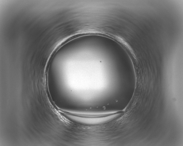 X0000059851380200510241452