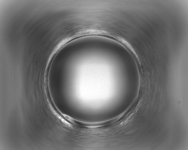 X0000059851381200510241452
