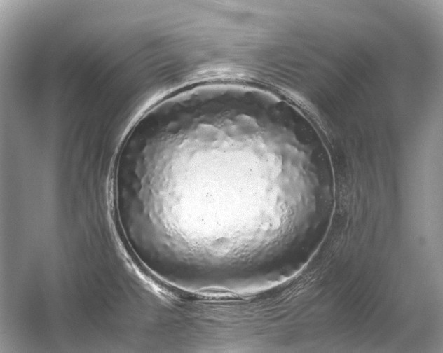 X0000059851383200510241452