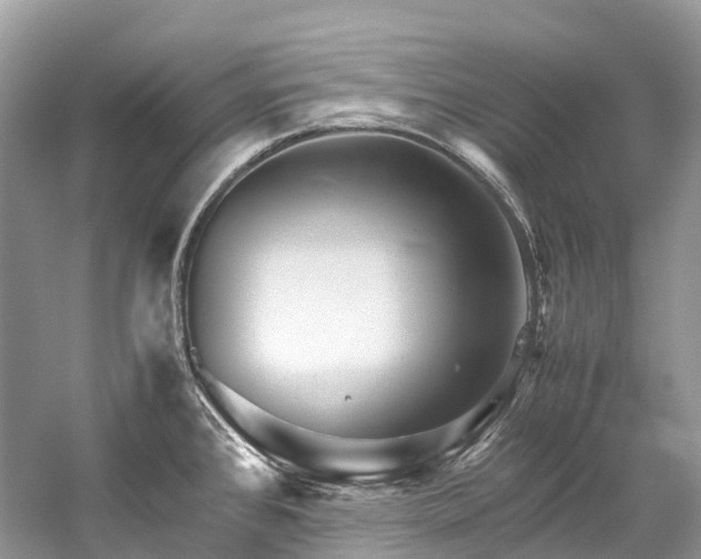 X0000059851384200510241452