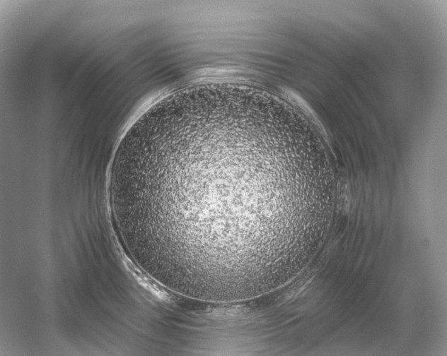 X0000059851386200510241452