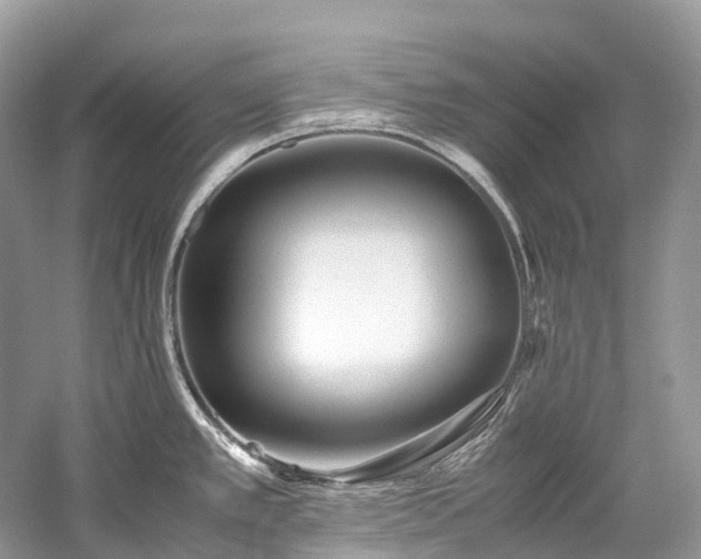 X0000059851389200510241452