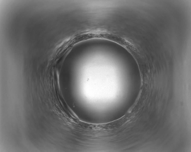 X0000059851398200510241451