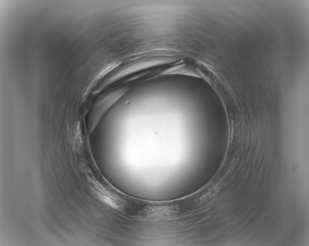 X0000059851402200510241451