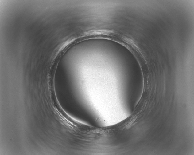 X0000059851404200510241451