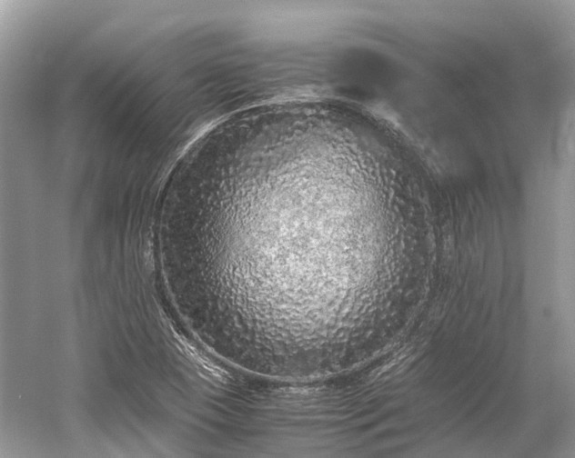 X0000059851409200510241451
