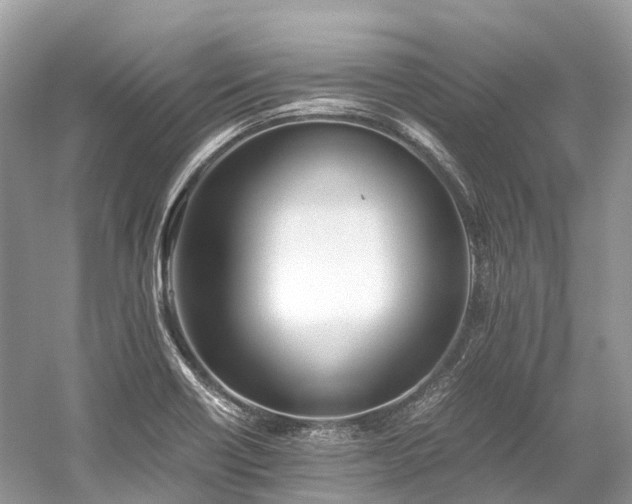 X0000059851418200510241452