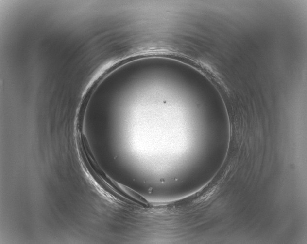 X0000059851422200510241452