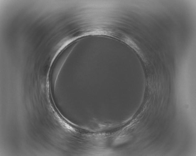 X0000059851428200510241452