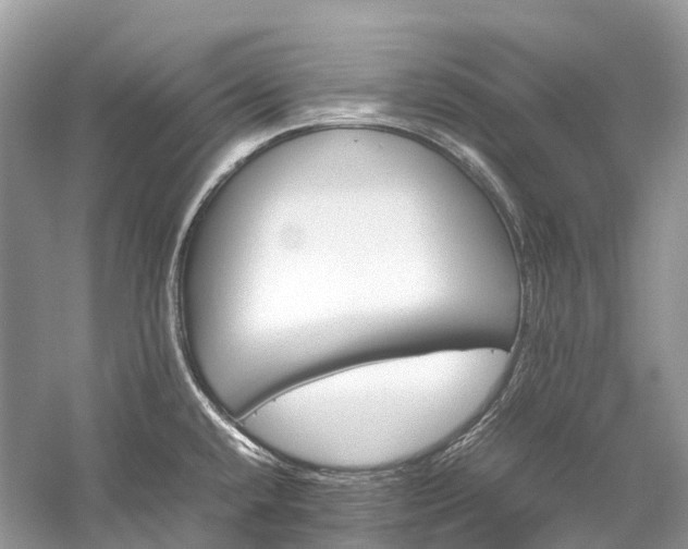 X0000059851432200510241452