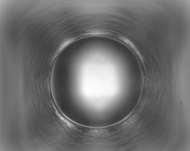 X0000059851433200510241452