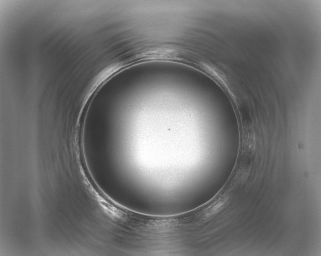 X0000059851434200510241452