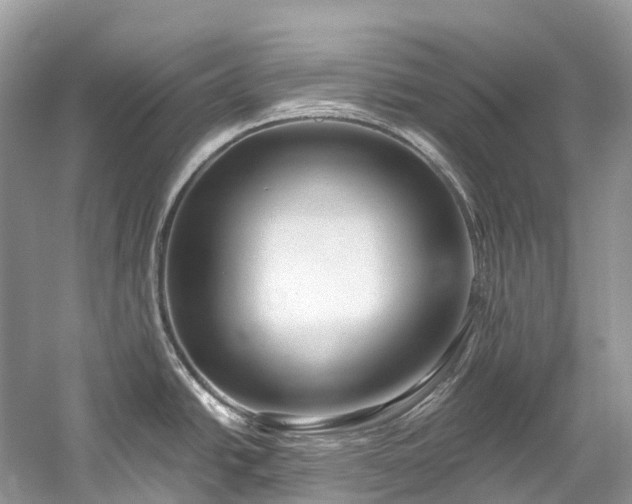 X0000059851438200510241452