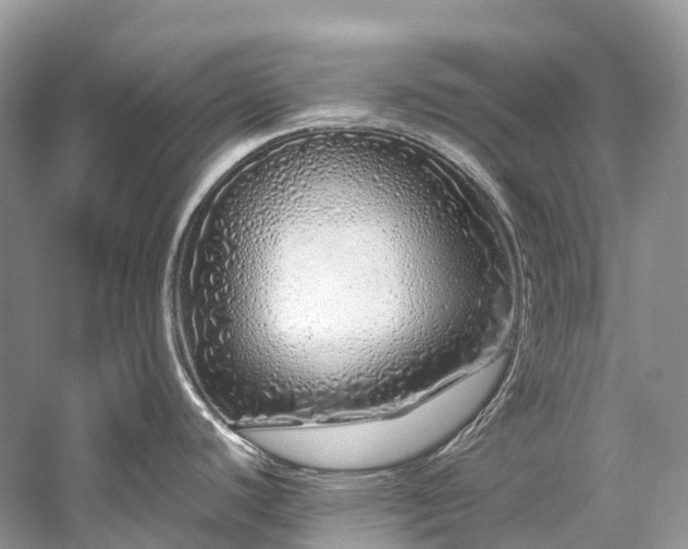 X0000059851440200510241452