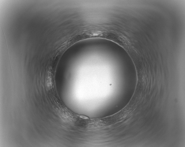 X0000059851442200510241451