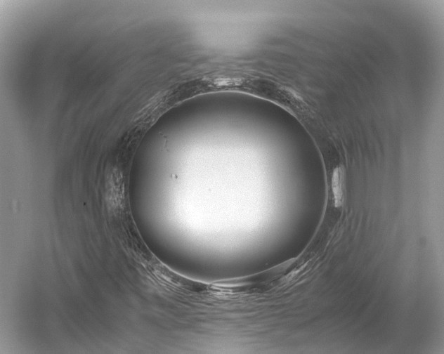 X0000059851443200510241451