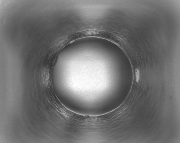 X0000059851444200510241451