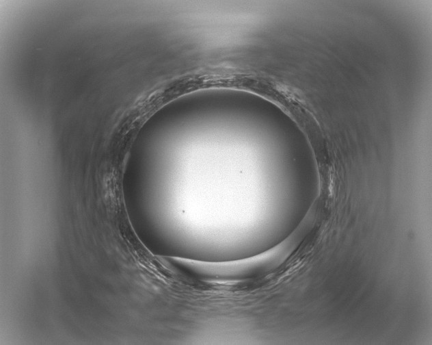 X0000059851445200510241451