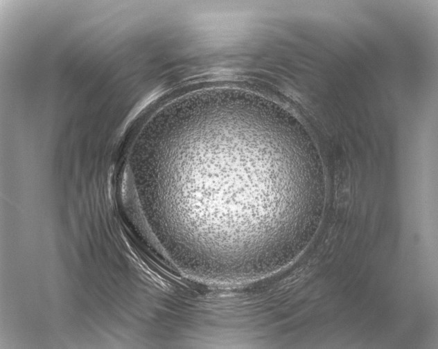 X0000059851450200510241451