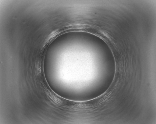 X0000059851451200510241451