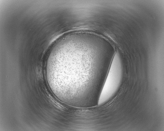 X0000059851452200510241451