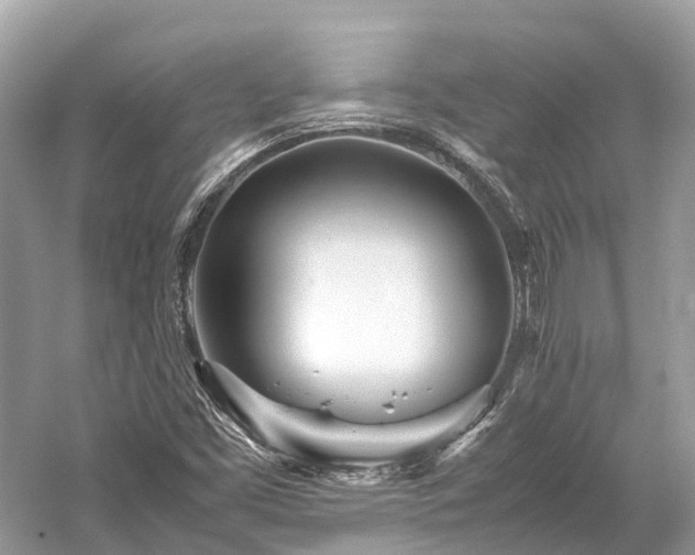 X0000059851453200510241451