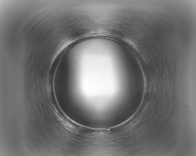 X0000059851458200510241451