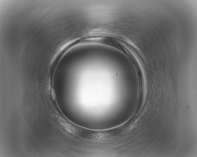X0000059851461200510241451